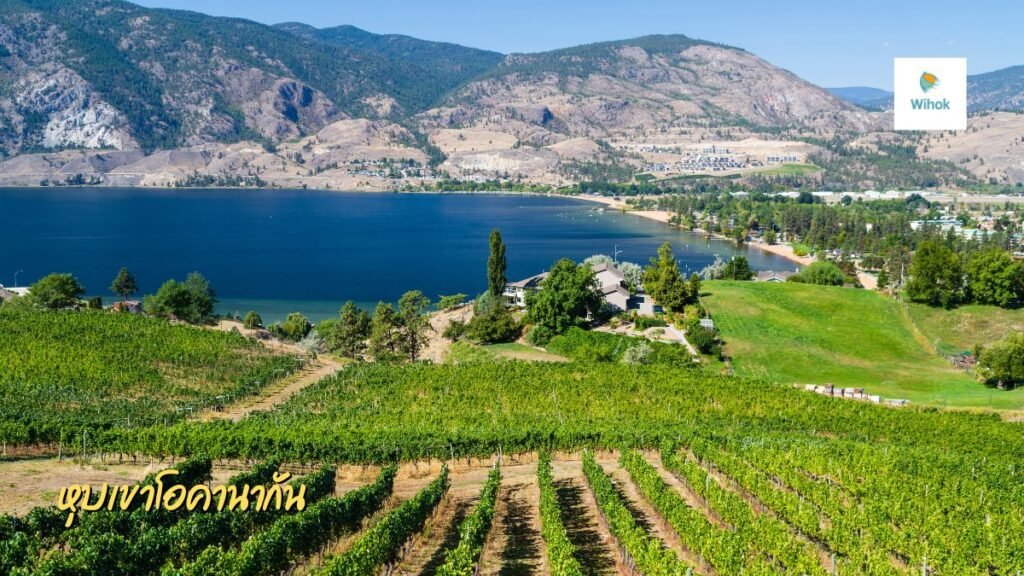 หุบเขาโอคานากัน