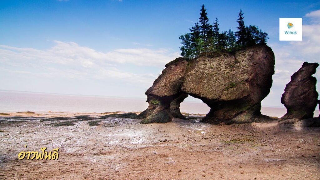 อ่าวฟันดี