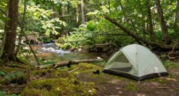 campsite checklist before setting up