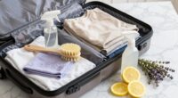 clean deodorize luggage effectively