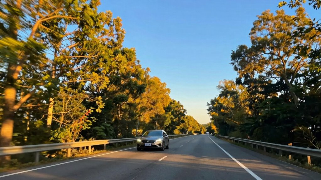 drive safely during daylight