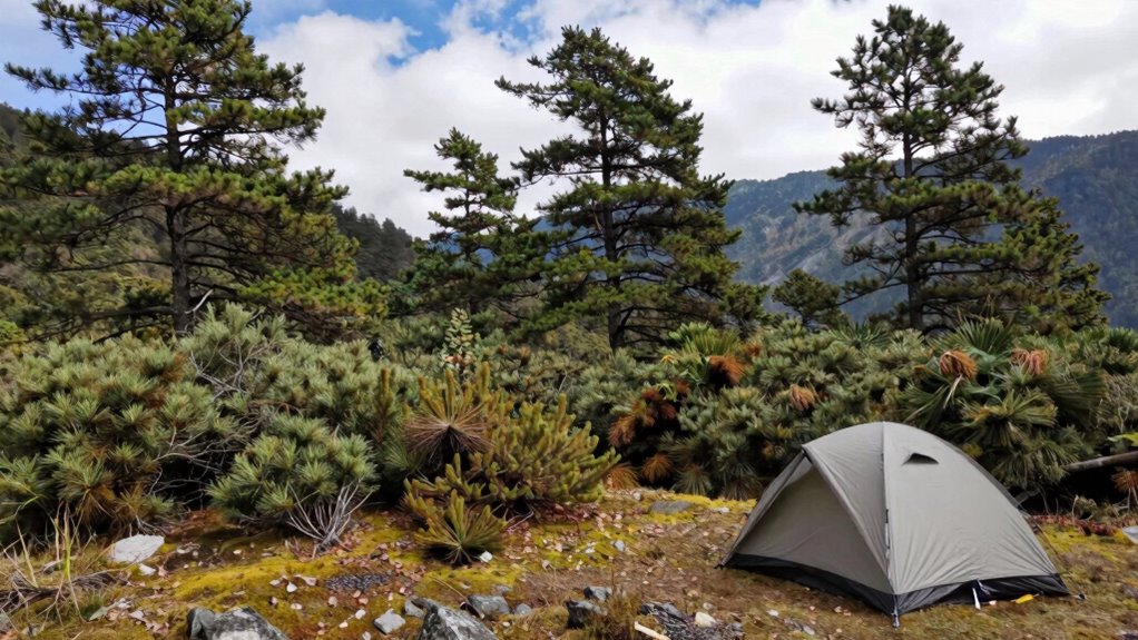 natural shelter and wind protection