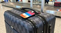 protective checked bag tips