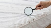 quick bed bug inspection
