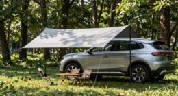 top portable camping awnings