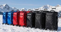 top ski bag picks
