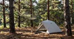 assess surroundings before setup