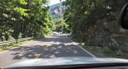 essential features for drivers