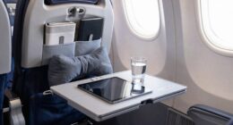 maintain flight seat organization