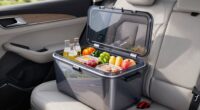 portable cooling for trips