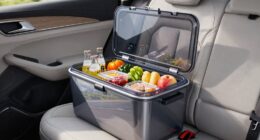 portable cooling for trips