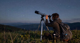 What to read this weekend: Celestial Lights and If Destruction Be Our Lot