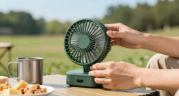 13 Best Cooling Fans in 2026