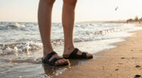 15 Best Birkenstock Clogs in 2026