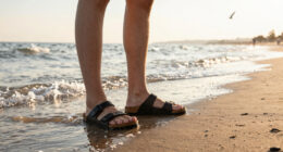 15 Best Birkenstock Clogs in 2026