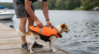 15 Best Pet Life Jackets in 2026
