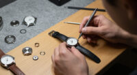 15 Best Timex Reissue Watches in 2026