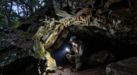 Mammoth Cave, Kentucky, United States Surges In Global Coverage