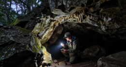 Mammoth Cave, Kentucky, United States Surges In Global Coverage