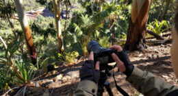 Nattai National Park, New South Wales, Australia Surges In Global Coverage